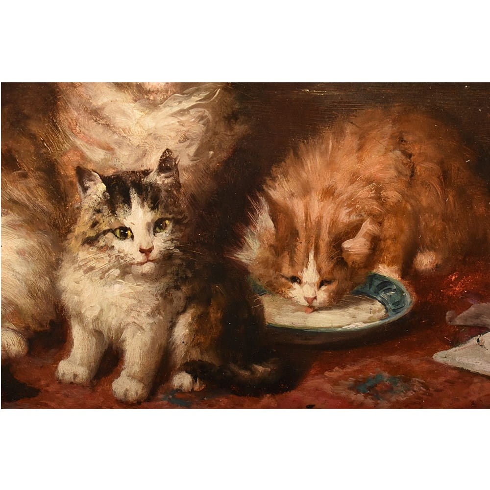 QA770 5a antique oil painting cats portraits painting XIX